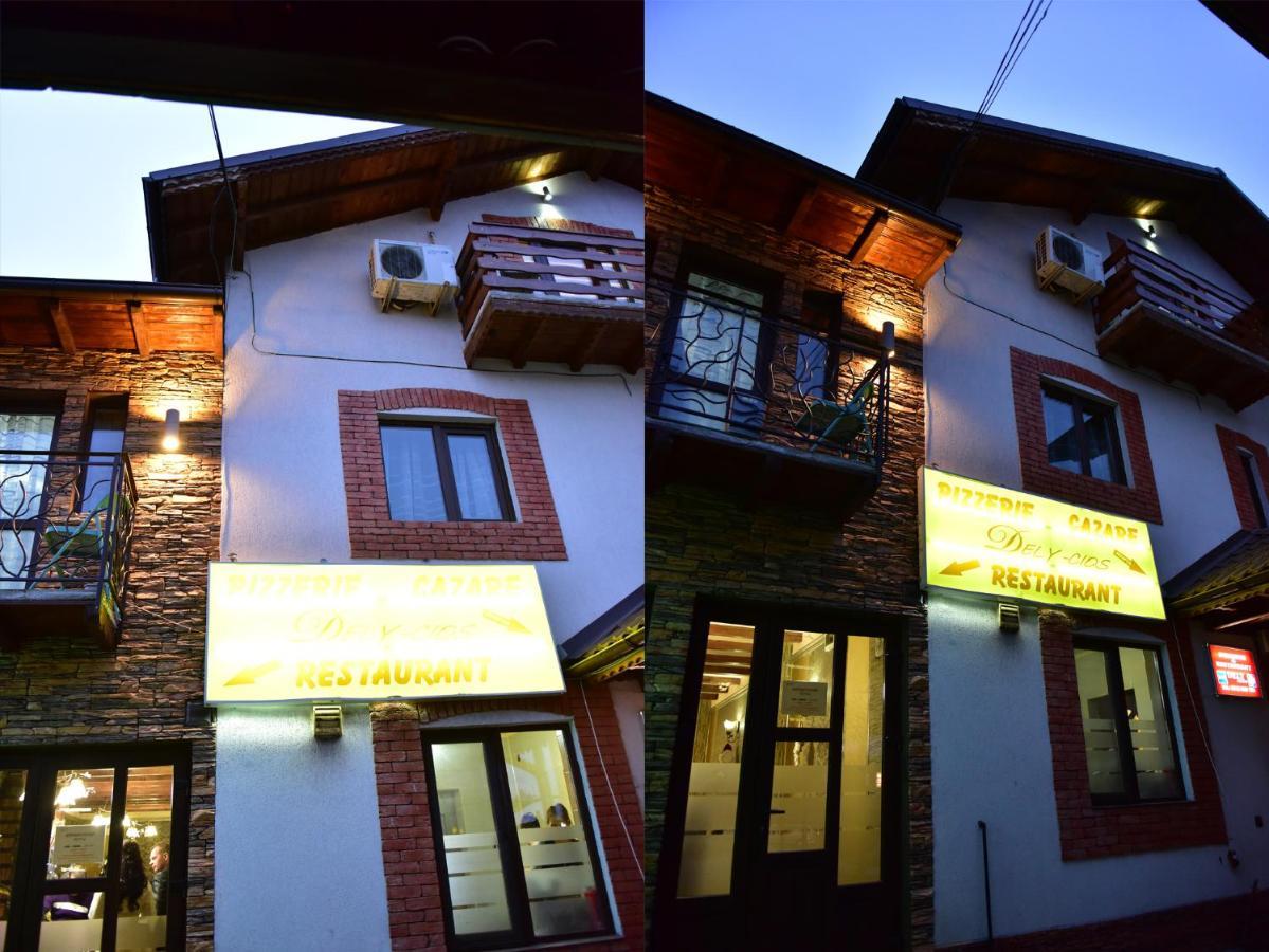 Pensiunea Dely_Cios Vălenii de Munte エクステリア 写真